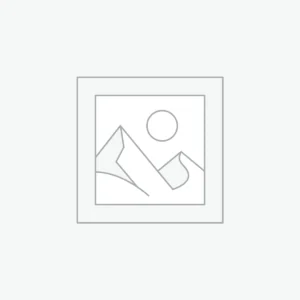 Vehicle Backup Cameras